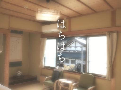Guest House hachi hachi - Housity