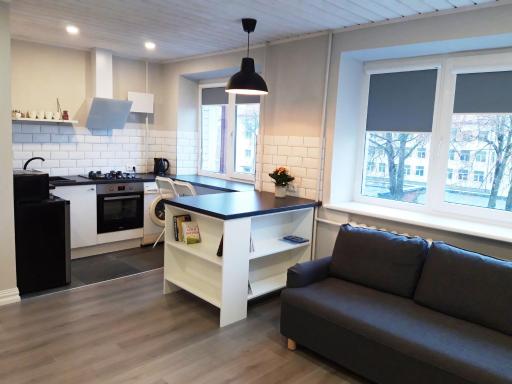 Alytus Ziburio studio - Housity