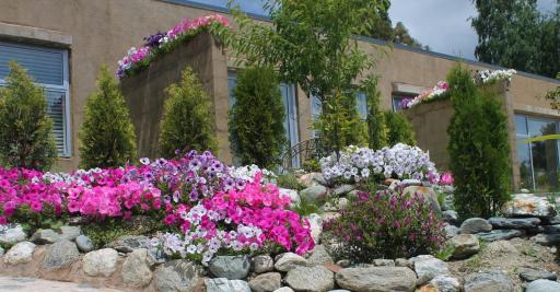 The Hidden Spring - Housity