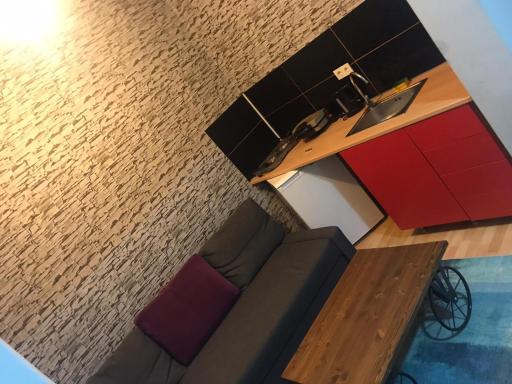 hygienic budget accommodation central 40 50 square meters with garden - Housity