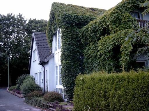 Ferienwohnung Antje - Housity