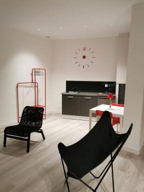 Appartement GRIS - LOVE SUITE - BALNEO-JACCUZI - Housity