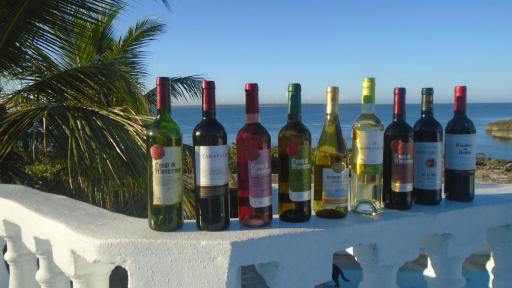 Guesthouse Villa La Isla - Housity