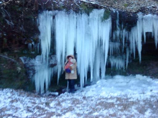 A l'ombre de la cascade - Housity