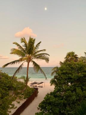 Libelula Tulum Beachfront Hotel - Hizvo