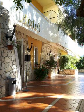 Yellow Park Hotel - Housity