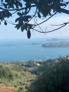 La casa di Andrea - Housity