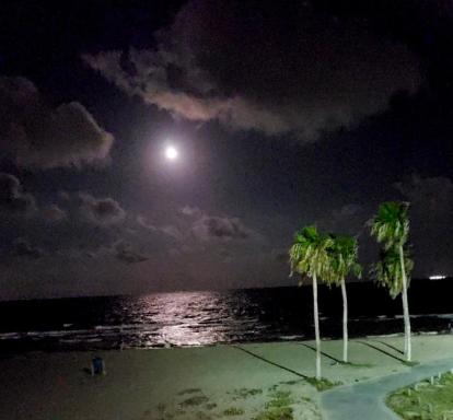 Spectacular Beach View! - Housity