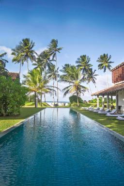 The Frangipani Tree by Edwards Collection - Housity