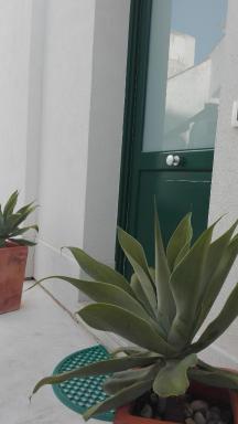 ANTICO CORTILE Favignana - Housity