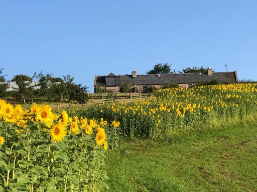 Garden Bank Cottage - Housity