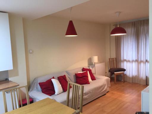 TU APARTAMENTO EN EL VALLE DE TENA en ESCARRILLA - Housity