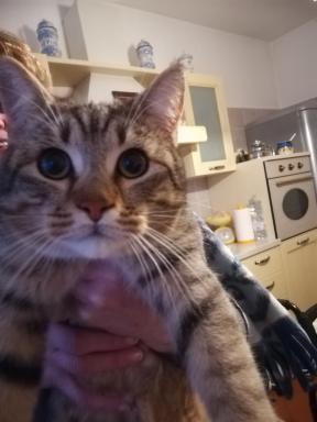 Villa Milena - Housity