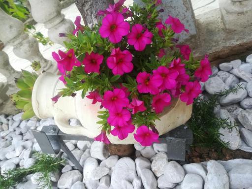Apartman Pelcic,with WiFi and free parking - Housity