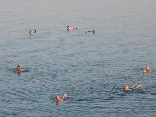 NEVE ZOHAR DEAD SEA - Housity