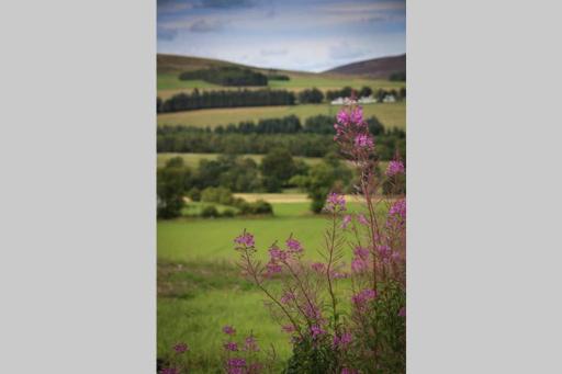 Isla Pod, Kilry eco pods - Housity