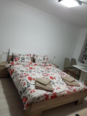 Garsoniera Stefan - Housity