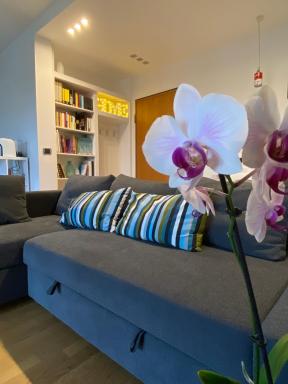 La Flor de la Mar - Housity