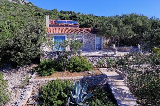House Lemon Tree - Housity