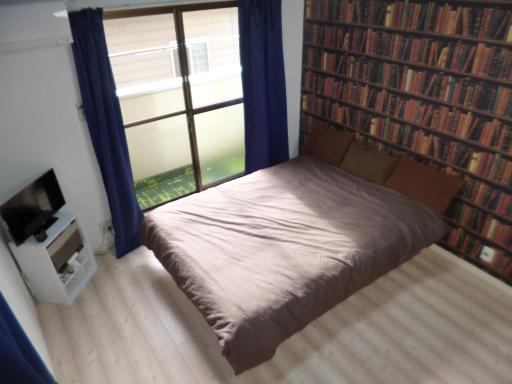 The Mickey Carlton Ohashi 207 - Housity