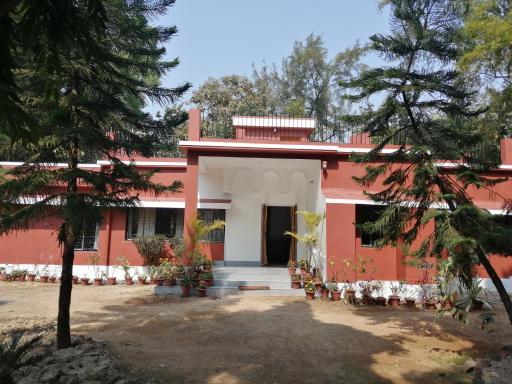 Bulbuli - Housity