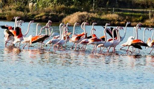 B&B Levante Posada - Housity