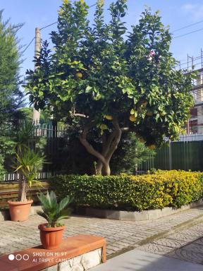 I colori del Vesuvio - Housity