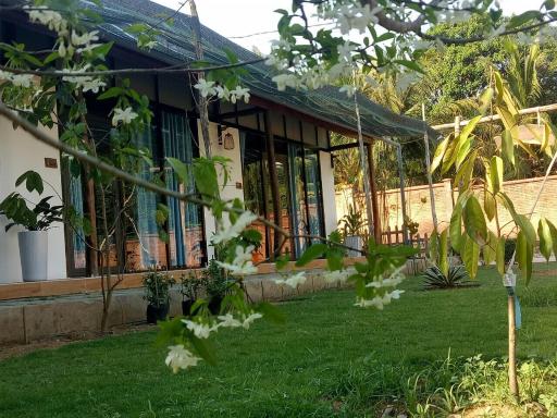 Bebe Homestay Phu Quoc - Housity