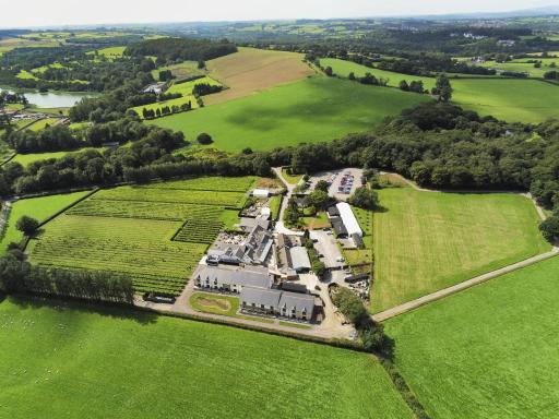 Llanerch Vineyard Hotel - Housity