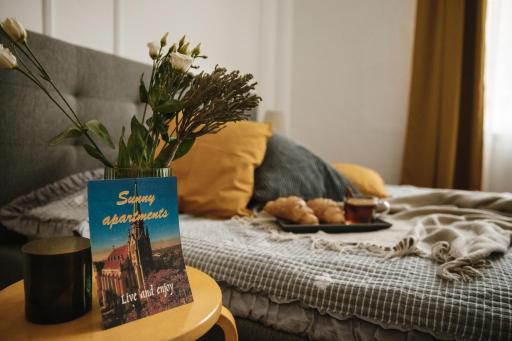 Sunny apartments in the center of Chernivtsi - Housity