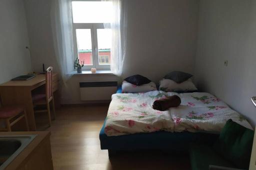 Apartmán v centru - Housity