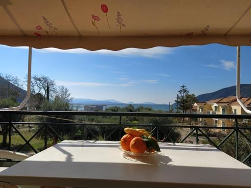 Queen Bay studios - Housity