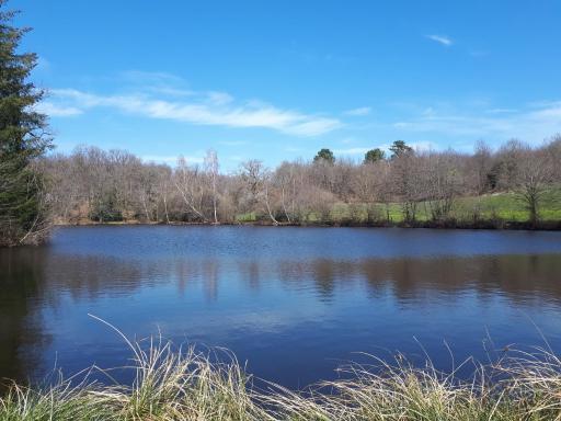 CAMPING Lac Tranquille - Housity