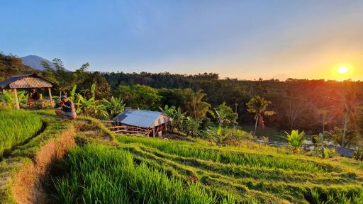 Hara Bali Eco Homestay - Housity