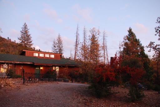 Sunny Pines Cottage - Housity