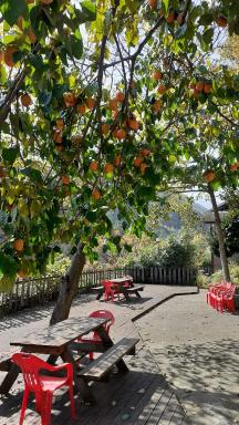 Dasanbang Pension - Housity