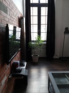 LOFT 314 - Housity