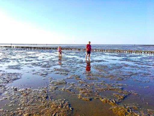 Deichoase Strandhaus - Housity