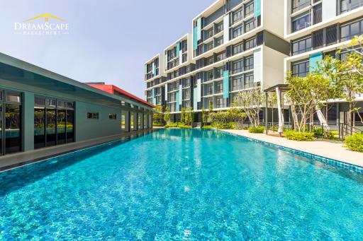 Alanis & Core Soho Suite KLIA-KLIA2 By DreamScape - Housity