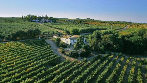 Bodega Boutique Finca Buytrón - Housity