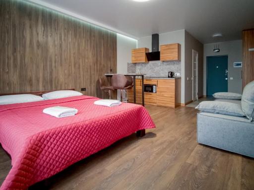 Solo Apartment Kamenskaya - Housity