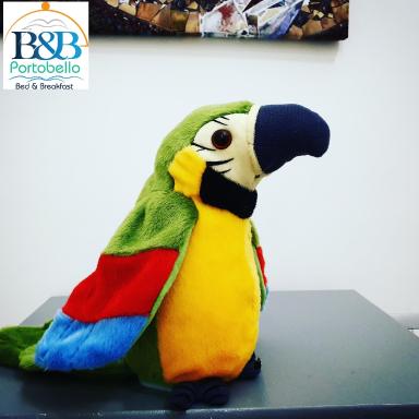 B&B Portobello - Housity