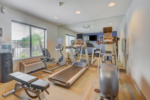 Holiday Inn Express Hotel & Suites Tampa-USF-Busch Gardens, an IHG Hotel - Housity