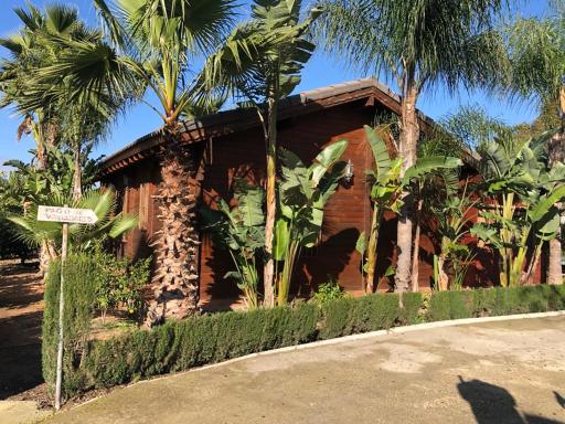 Chalet con piscina El Oasis del Palomar - Housity