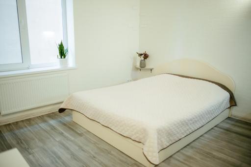 Historical center "Apartments on Kontorskaya" - Housity