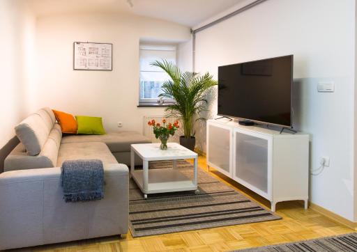 Araucaria - Housity
