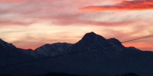 the Oak house - Housity