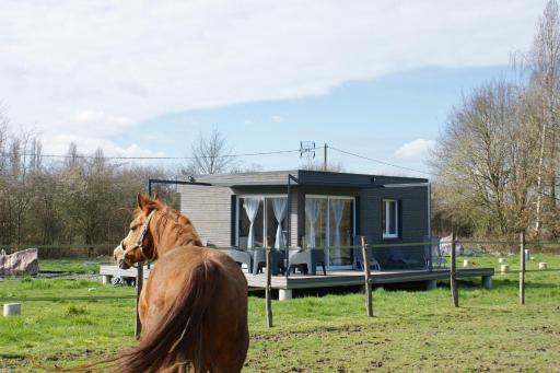 Cottage tout confort au milieu des chevaux - Housity
