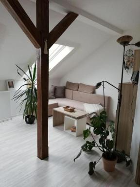 FeWo Dannies - Housity