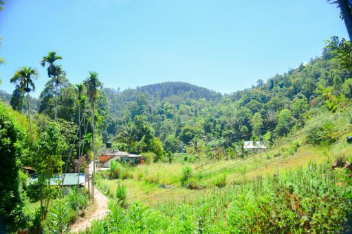 Ella Supreme Villa - Housity